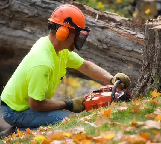 tree services Lithopolis